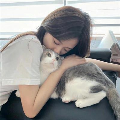 龙的心